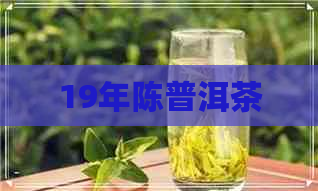 19年陈普洱茶