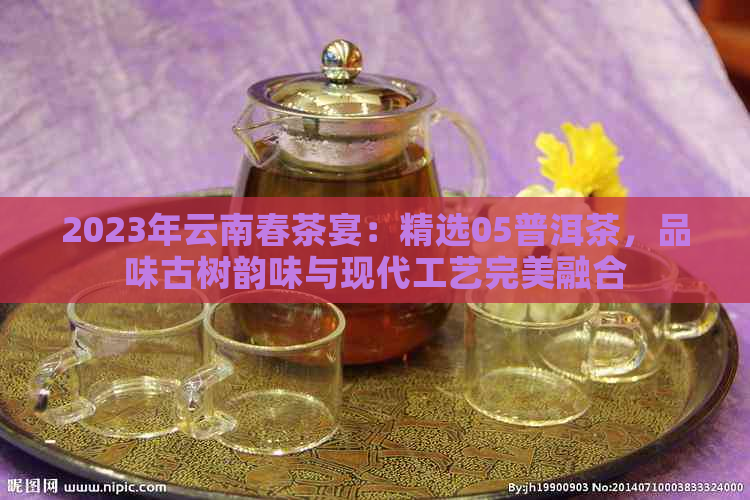 2023年云南春茶宴：精选05普洱茶，品味古树韵味与现代工艺完美融合