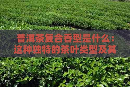 普洱茶复合香型是什么：这种独特的茶叶类型及其味道解析