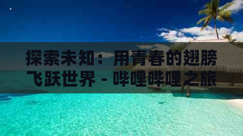 探索未知：用青春的翅膀飞跃世界 - 哔哩哔哩之旅