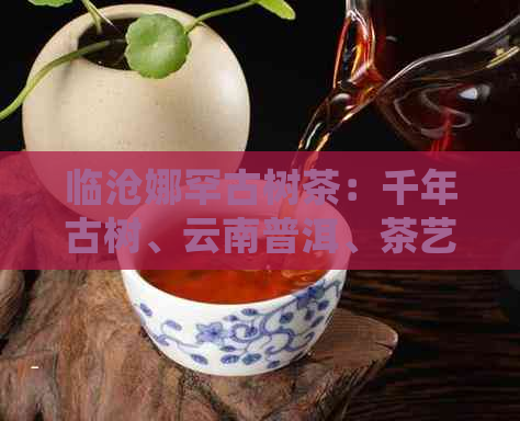 临沧娜罕古树茶：千年古树、云南普洱、茶艺传承、自然醇香