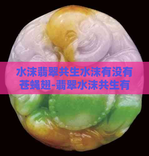 水沫翡翠共生水沫有没有苍蝇翅-翡翠水沫共生有价值吗