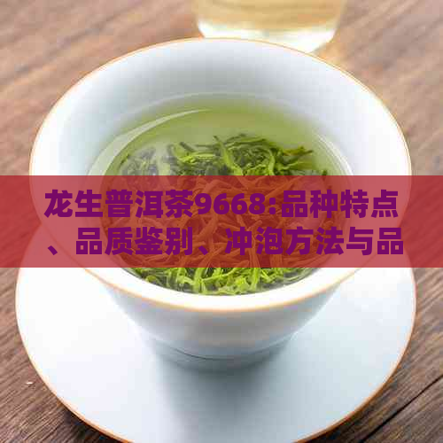 龙生普洱茶9668:品种特点、品质鉴别、冲泡方法与品鉴技巧一应俱全