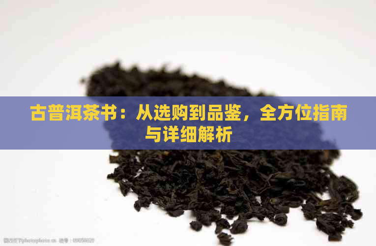 古普洱茶书：从选购到品鉴，全方位指南与详细解析