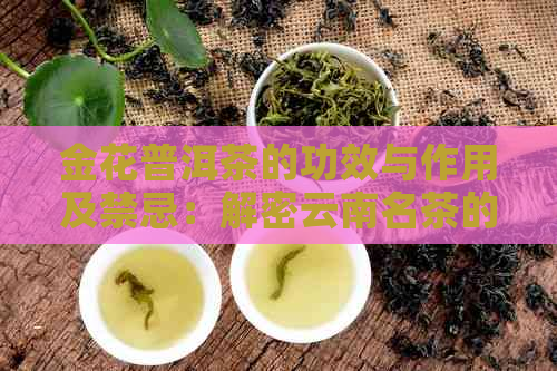 金花普洱茶的功效与作用及禁忌：解密云南名茶的魅力与风险