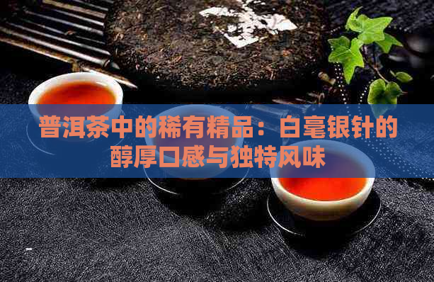 普洱茶中的稀有精品：白毫银针的醇厚口感与独特风味