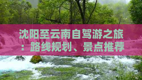 沈阳至云南自驾游之旅：路线规划、景点推荐、美食体验与旅行贴士