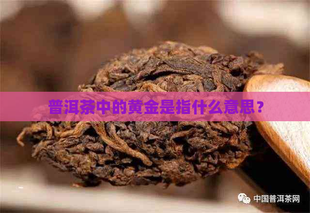 普洱茶中的黄金是指什么意思？