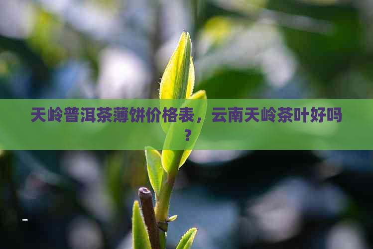 天岭普洱茶薄饼价格表，云南天岭茶叶好吗？