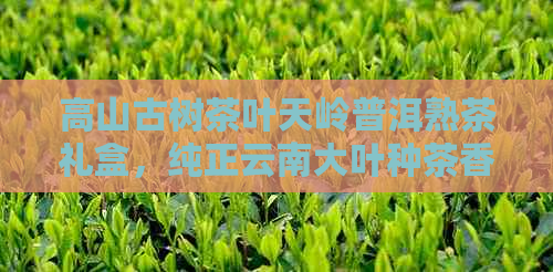 高山古树茶叶天岭普洱熟茶礼盒，纯正云南大叶种茶香浓