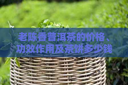 老陈香普洱茶的价格、功效作用及茶饼多少钱？