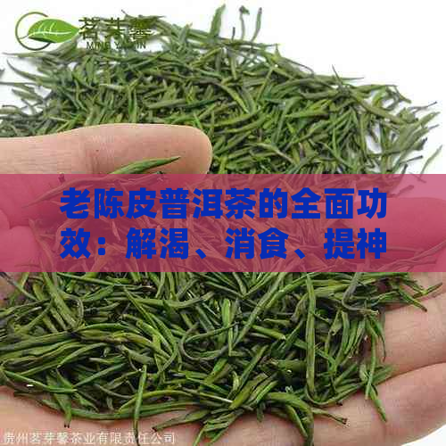 老陈皮普洱茶的全面功效：解渴、消食、提神、降脂等多重好处