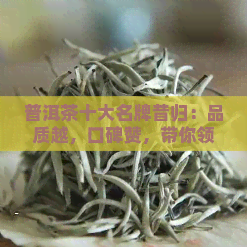 普洱茶十大名牌昔归：品质越，口碑赞，带你领略千年古树的独特魅力。