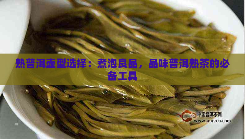 熟普洱壶型选择：煮泡良品，品味普洱熟茶的必备工具