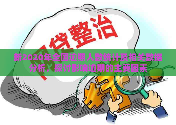 新2020年全国逾期人数统计及相关数据分析，探讨影响逾期的主要因素