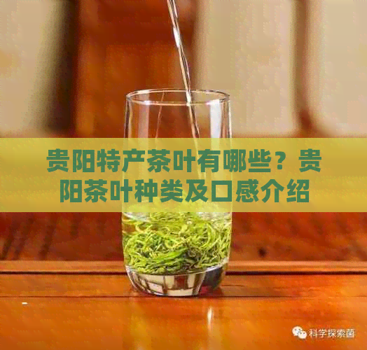 贵阳特产茶叶有哪些？贵阳茶叶种类及口感介绍