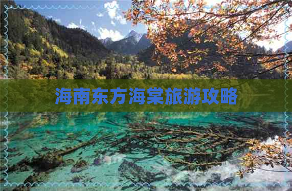 海南东方海棠旅游攻略