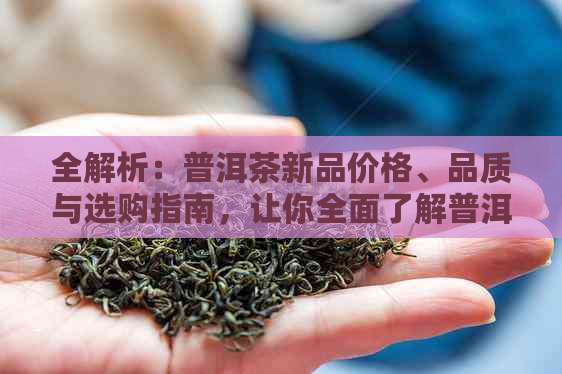 全解析：普洱茶新品价格、品质与选购指南，让你全面了解普洱茶的各个方面！