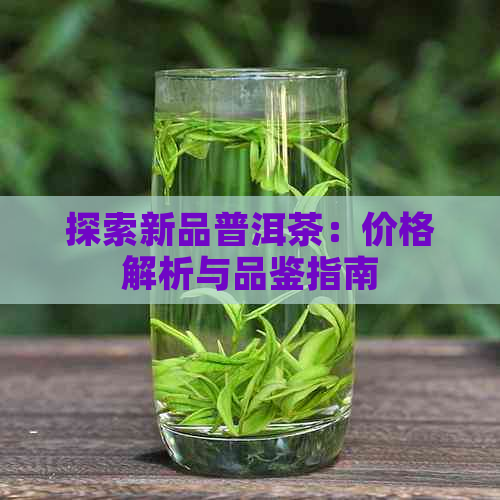 探索新品普洱茶：价格解析与品鉴指南