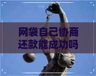 网袋自己协商还款能成功吗