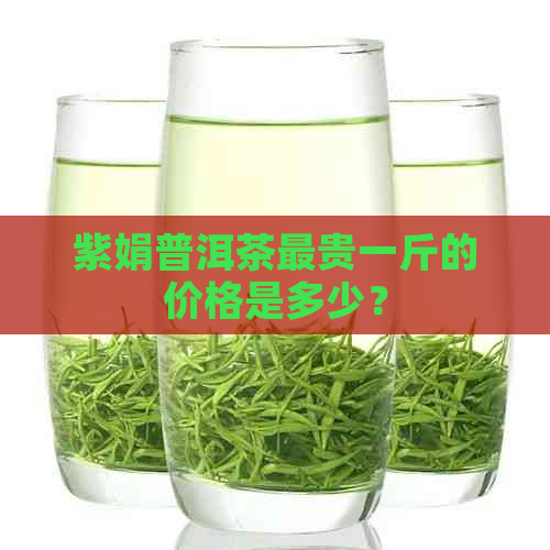 紫娟普洱茶最贵一斤的价格是多少？