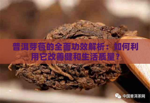 普洱芽苞的全面功效解析：如何利用它改善健和生活质量？