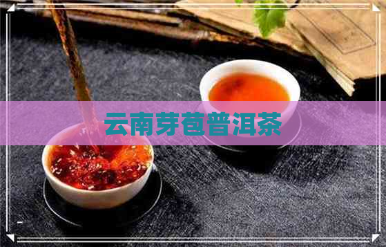 云南芽苞普洱茶