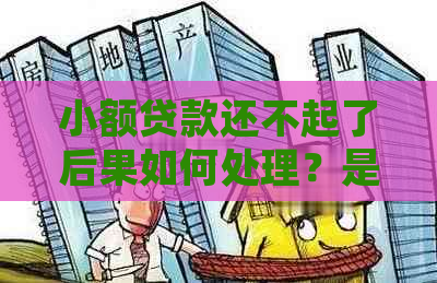 小额贷款还不起了后果如何处理？是否涉及诈骗？可以协商解决吗？