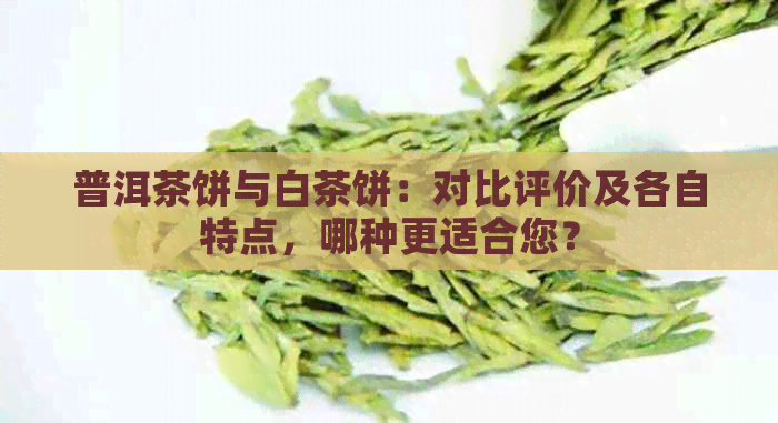 普洱茶饼与白茶饼：对比评价及各自特点，哪种更适合您？