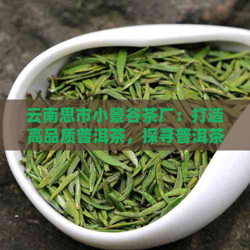 云南思市小景谷茶厂：打造高品质普洱茶，探寻普洱茶文化的传承与发展