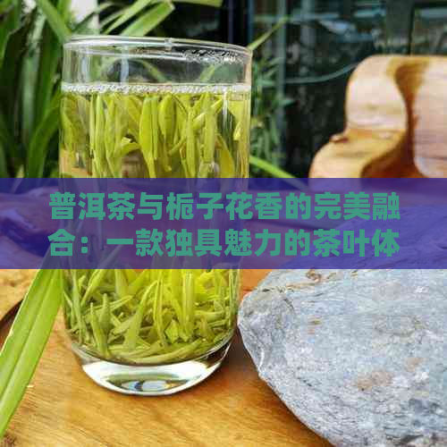 普洱茶与栀子花香的完美融合：一款独具魅力的茶叶体验