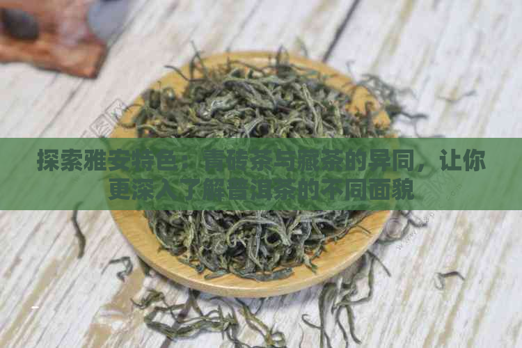 探索雅安特色：青砖茶与藏茶的异同，让你更深入了解普洱茶的不同面貌