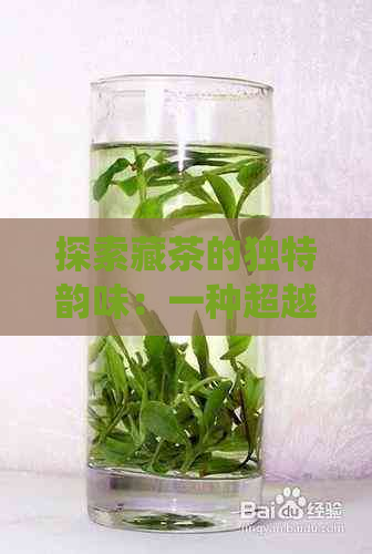 探索藏茶的独特韵味：一种超越传统的茶叶文化体验