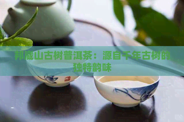 邦崴山古树普洱茶：源自千年古树的独特韵味