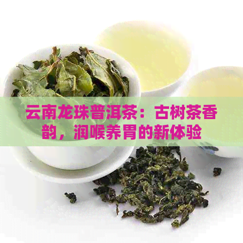 云南龙珠普洱茶：古树茶香韵，润喉养胃的新体验