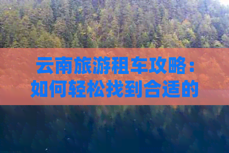 云南旅游租车攻略：如何轻松找到合适的车位并顺利租到车