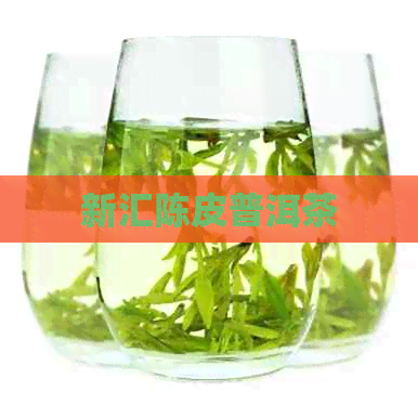 新汇陈皮普洱茶