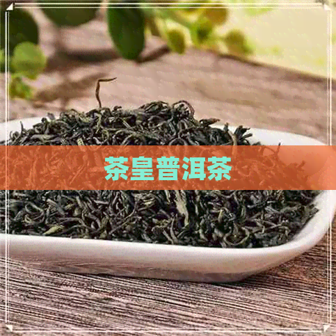 茶皇普洱茶