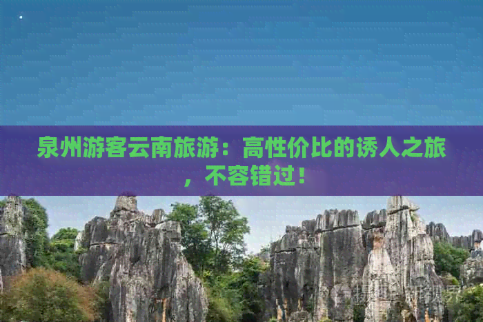 泉州游客云南旅游：高性价比的诱人之旅，不容错过！