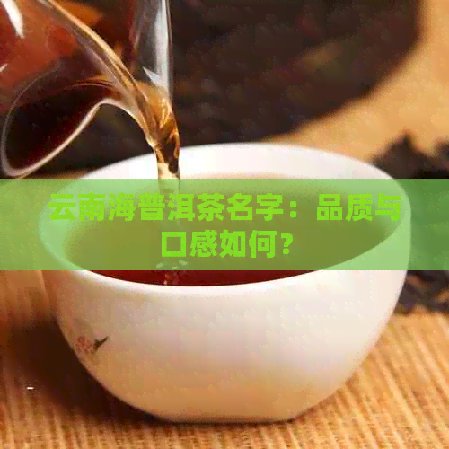 云南海普洱茶名字：品质与口感如何？