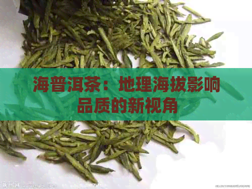 海普洱茶：地理海拔影响品质的新视角