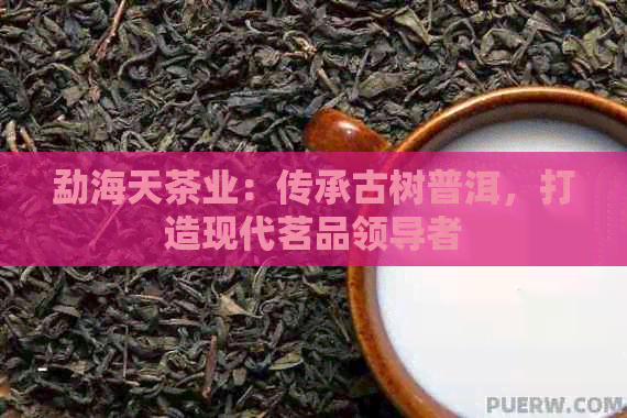 勐海天茶业：传承古树普洱，打造现代茗品领导者