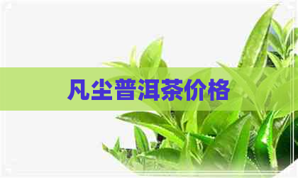 凡尘普洱茶价格