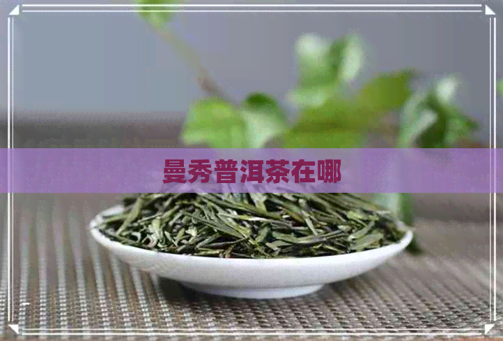 曼秀普洱茶在哪