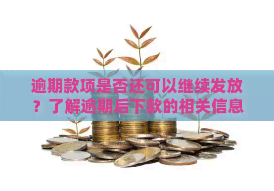 逾期款项是否还可以继续发放？了解逾期后下款的相关信息