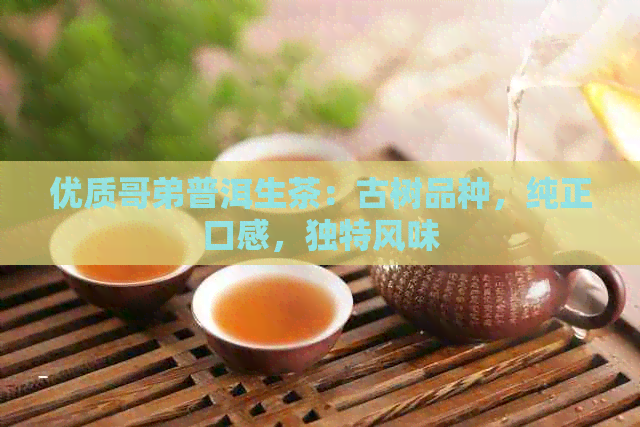 优质哥弟普洱生茶：古树品种，纯正口感，独特风味