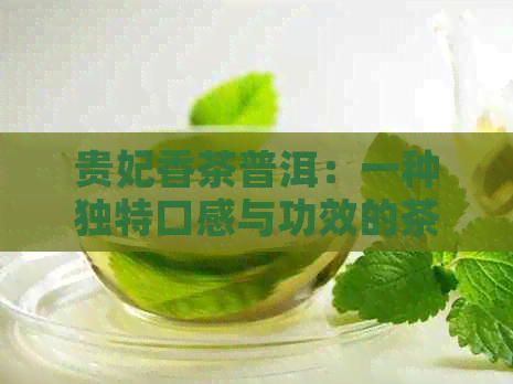 贵妃香茶普洱：一种独特口感与功效的茶叶详解及其冲泡方法