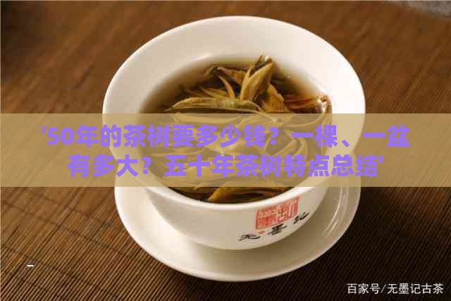 '50年的茶树要多少钱？一棵、一盆有多大？五十年茶树特点总结'