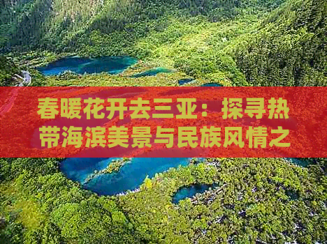 春暖花开去三亚：探寻热带海滨美景与民族风情之旅