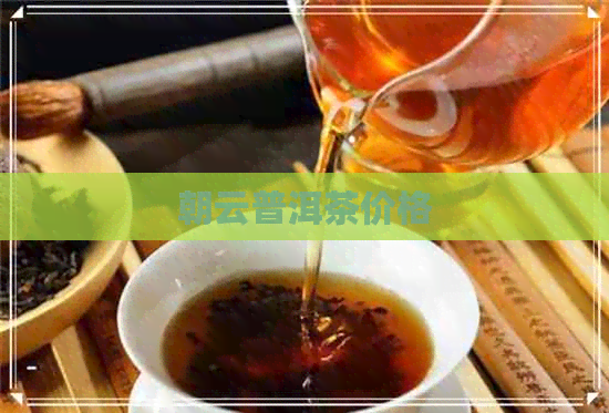 朝云普洱茶价格